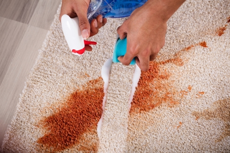 Carpet Cleaning