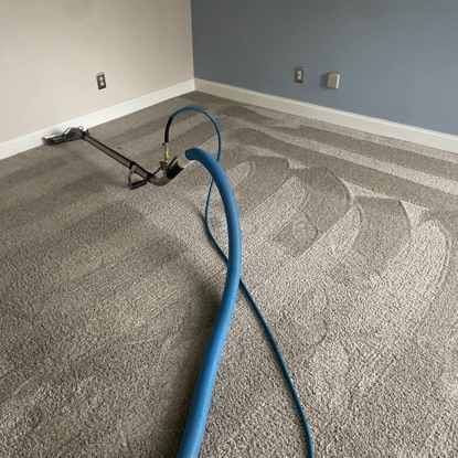 Carpet Cleaning Before