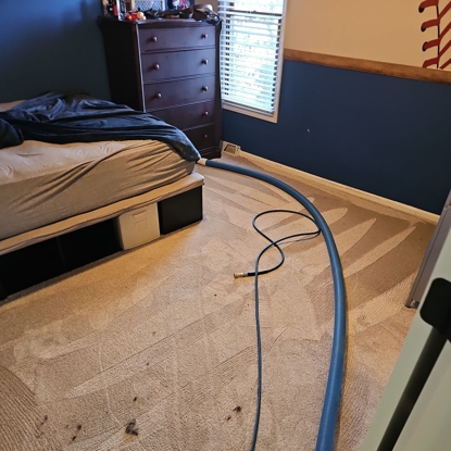 Carpet Cleaning After