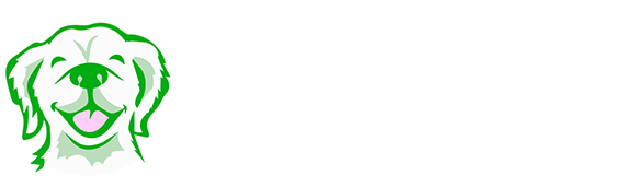 Dirty Dog Home Solutions